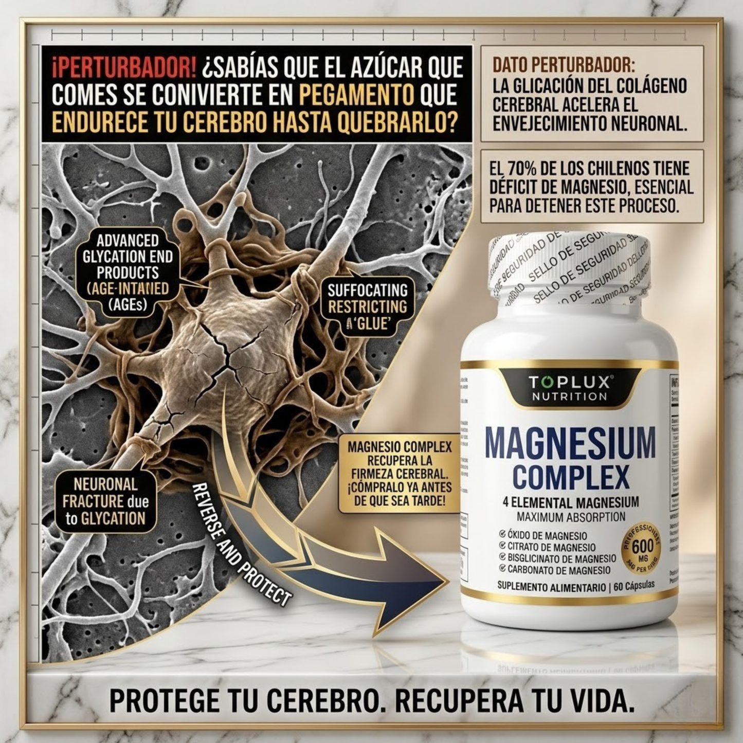 MagnaForce™ — Complejo de Magnesio 4 en 1 para Relajación Muscular, Sueño Profundo, Energía Sostenida y Absorción Máxima