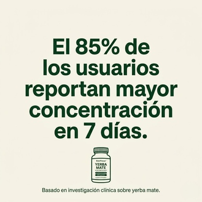 Yerba Mate Pura · Energía Natural · Sin Cafeína Artificial · Concentración Máxima